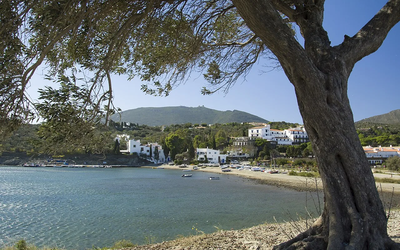 Ein alter Olivenbaum, der die Bucht von Portlligat und ihre weißen Häuser einrahmt